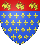 Blason Villeneuve le roi 94